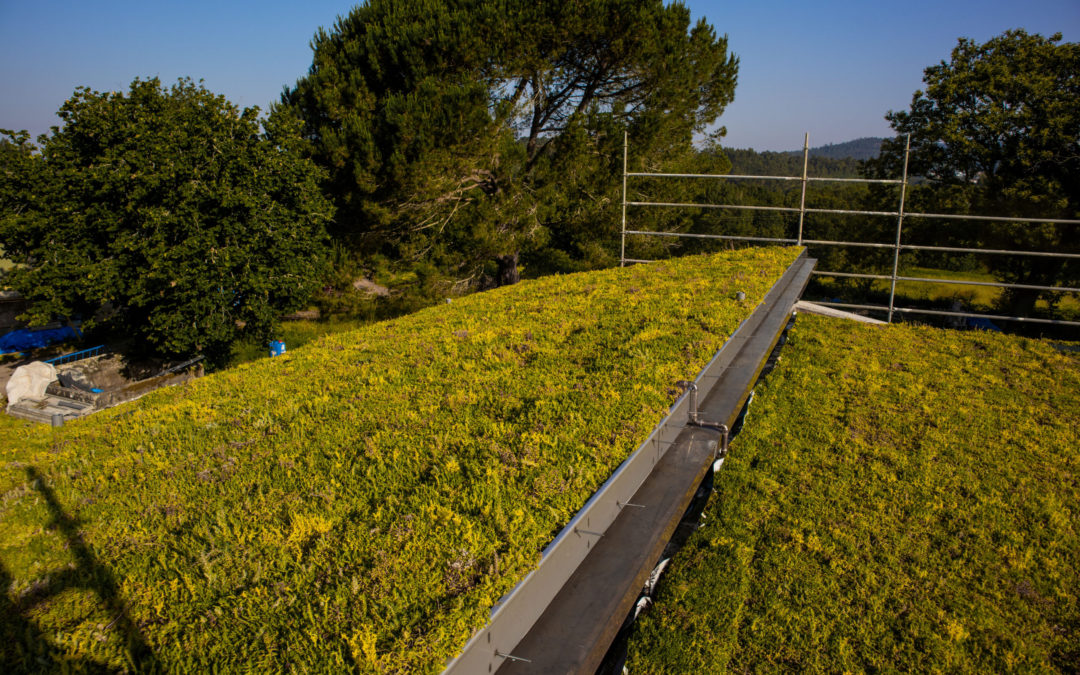 Cubierta CLT Ecológica